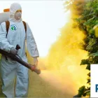 La imagen 3 de la Empresa RIMPA SOLUCIONES AMBIENTALES Servicio de control de plagas en Lima LAM