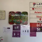 La imagen 2 de la Empresa RUTA 782 TRAVEL AGENCY Centro de información turística en Loreto Perú