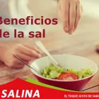 La imagen 3 de la Empresa SAL SALINA - SAL COSTEÑITA Tienda de minerales en Lambayeque Lambayeque