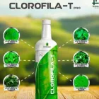 La imagen 4 de la Empresa SALUDABLEMENTE TEOMA VITAMINAS PARA LAS DEFENSAS en Magdalena del Mar LAM