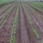 La imagen 8 de la Empresa SERVICIOS GENERALES TODO CAMPO Contratista de perforación de pozos en La Libertad Perú