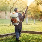 La imagen 1 de la Empresa SUAT FUMIGACION AMBIENTAL SAC Servicio de control de plagas en Lima LAM