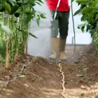 La imagen 2 de la Empresa SUAT FUMIGACION AMBIENTAL SAC Servicio de control de plagas en Lima LAM