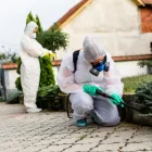 La imagen 3 de la Empresa SUAT FUMIGACION AMBIENTAL SAC Servicio de control de plagas en Lima LAM