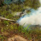 La imagen 4 de la Empresa SUAT FUMIGACION AMBIENTAL SAC Servicio de control de plagas en Lima LAM