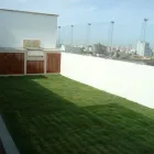 La imagen 2 de la Empresa TECHO VERDE PERÚ Paisajista en Lima LAM