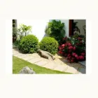 La imagen 1 de la Empresa VIVERO DEL SUR Paisajista en Lima LAM