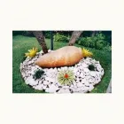 La imagen 2 de la Empresa VIVERO DEL SUR Paisajista en Lima LAM