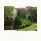 La imagen 3 de la Empresa VIVERO DEL SUR Paisajista en Lima LAM