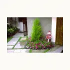 La imagen 4 de la Empresa VIVERO DEL SUR Paisajista en Lima LAM