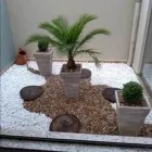 La imagen 1 de la Empresa VIVERO LAS CASCADAS Paisajista en Lima LAM