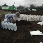La imagen 2 de la Empresa VIVERO LAS CASCADAS Paisajista en Lima LAM
