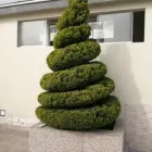 La imagen 3 de la Empresa VIVERO LAS CASCADAS Paisajista en Lima LAM