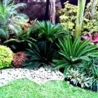 La imagen 4 de la Empresa VIVERO LAS CASCADAS Paisajista en Lima LAM