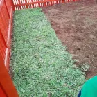 La imagen 2 de la Empresa VIVERO VERDOSCIA Diseñador de paisajes en Lurín LAM