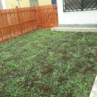 La imagen 5 de la Empresa VIVERO VERDOSCIA Diseñador de paisajes en Lurín LAM