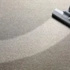 La imagen 3 de la Empresa ZONA IMPECABLE Servicio de limpieza de alfombras en Lima LAM