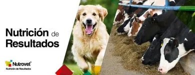 La imagen 4 de la Empresa AGROVET MARKET Veterinario en Lima LAM