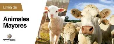 La imagen 5 de la Empresa AGROVET MARKET Veterinario en Lima LAM