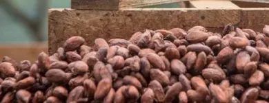 La imagen 1 de la Empresa ALIBUENO S.A.C. Tienda de alimentos naturales en Lima LAM