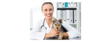 La imagen 3 de la Empresa ANIMAL CLINIC PERÚ Veterinario en Lima LAM