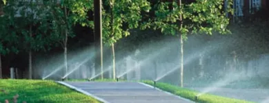 La imagen 1 de la Empresa AQUANDREA'S Instalaciones de natación en Lima LAM