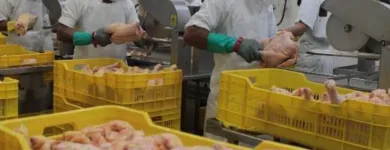 La imagen 5 de la Empresa AVÍCOLA SEÑOR POLLO Carnicería en Lima LAM