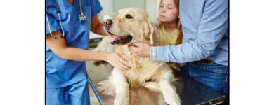 La imagen 1 de la Empresa BENAVIDES CLÍNICA VETERINARIA Veterinario en Lima LAM