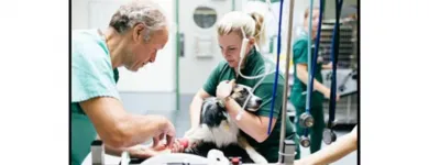 La imagen 2 de la Empresa BENAVIDES CLÍNICA VETERINARIA Veterinario en Lima LAM