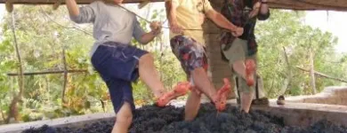 La imagen 8 de la Empresa CANDELA TOURS PERU Zip Line en Lima LAM