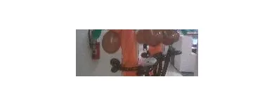 La imagen 2 de la Empresa CATITA & ANE FIESTAS INFANTILES Shows Infantiles en Surco en Surco LAM