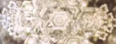 La imagen 2 de la Empresa CLARISSE Purificadores de Agua en Lima LAM