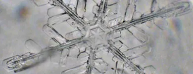 La imagen 4 de la Empresa CLARISSE Purificadores de Agua en Lima LAM