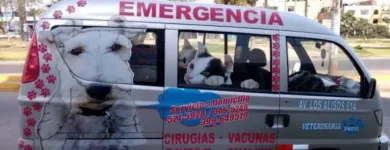 La imagen 2 de la Empresa CLÍNICA VETERINARIA PREVI Veterinario en Lima LAM