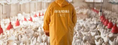La imagen 1 de la Empresa DISTRIBUIDORA AVIANDINA Enlatados de Conserva de Pechuga de Pollo en Lima LAM