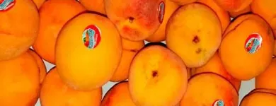 La imagen 1 de la Empresa DISTRIBUIDORA FRUVER FRESH - VENTA DE FRUTAS Y VERDURAS Tienda de comestibles en Lima LAM