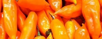 La imagen 2 de la Empresa DISTRIBUIDORA FRUVER FRESH - VENTA DE FRUTAS Y VERDURAS Tienda de comestibles en Lima LAM