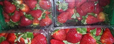 La imagen 3 de la Empresa DISTRIBUIDORA FRUVER FRESH - VENTA DE FRUTAS Y VERDURAS Tienda de comestibles en Lima LAM