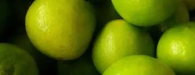 La imagen 8 de la Empresa DISTRIBUIDORA FRUVER FRESH - VENTA DE FRUTAS Y VERDURAS Tienda de comestibles en Lima LAM