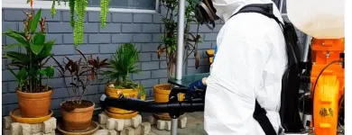 La imagen 7 de la Empresa FUMIEXPERTOS - EMPRESA DE FUMIGACIÓN, DESINFECCIÓN Y DESINSECTACIÓN SERVICIOS DE FUMIGACION EN LIMA en Lima LAM