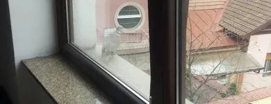 La imagen 6 de la Empresa GABRIEL TEST Trajes para Hombre en Trujillo LAL