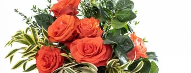 La imagen 6 de la Empresa GIFTYFLOR - FLORERIAS EN LIMA - TIENDA DE FLORES Y REGALOS ONLINE Florerías en Lima LAM