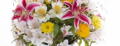 La imagen 9 de la Empresa GIFTYFLOR - FLORERIAS EN LIMA - TIENDA DE FLORES Y REGALOS ONLINE Florerías en Lima LAM