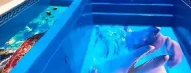 La imagen 4 de la Empresa H Y H ARTE Y DISEÑO Diseñador de interiores en Lima LAM