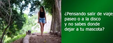 La imagen 12 de la Empresa HOSPEDAJE PARA MASCOTAS PATITAS FELICES Entrenador de perros en Lima LAM