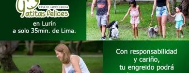 La imagen 14 de la Empresa HOSPEDAJE PARA MASCOTAS PATITAS FELICES Entrenador de perros en Lima LAM