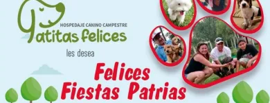 La imagen 15 de la Empresa HOSPEDAJE PARA MASCOTAS PATITAS FELICES Entrenador de perros en Lima LAM