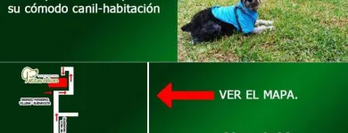 La imagen 17 de la Empresa HOSPEDAJE PARA MASCOTAS PATITAS FELICES Entrenador de perros en Lima LAM