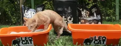 La imagen 4 de la Empresa LEOCAT Tienda para Mascotas en Lima LAM