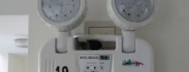 La imagen 1 de la Empresa LUGORA SERVICE Servicio de control de plagas en Lima LAM